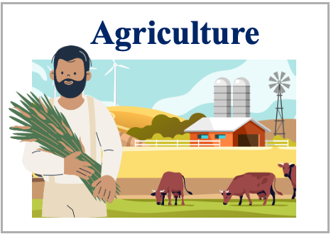 Agriculture illustration